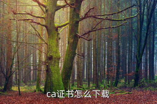 ca證書(shū)怎么下載