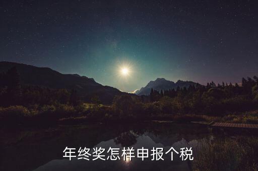 年終獎個人所得稅如何申報，年終獎個稅怎么申報