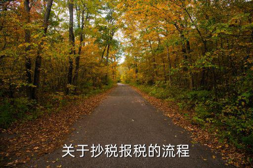 抄稅后如何報稅，抄報稅的操作步驟是什么