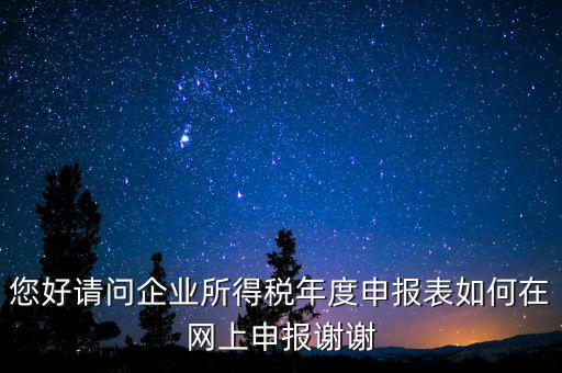 公司如何網絡申報表，新手請教企業(yè)所得稅年度納稅申報表在網上如何申報