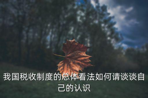 如何讓看待我國稅收改革，我國稅收制度的總體看法如何請談?wù)勛约旱恼J識
