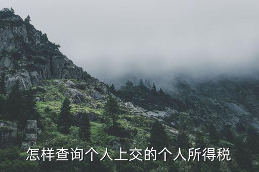 如何查詢個(gè)人納稅信息，怎樣查詢個(gè)人所得稅