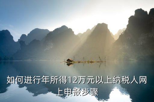 攜稅寶如何申報12萬元，年收入12萬如何申報