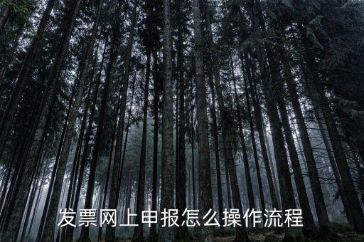 如何國稅局網上申請開票，如何登錄稅務網上開票