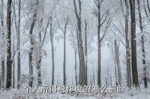 如何刪除已審核的地稅報表，已遞上的地稅網(wǎng)上財務(wù)報表系統(tǒng)的報表能否刪除
