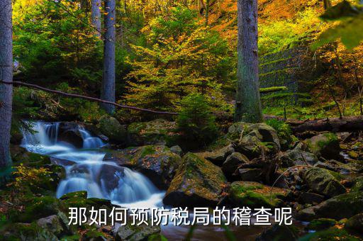 如何逃避稽查局查賬，如何應對稅務稽查查賬老板把責任推倒會計身上