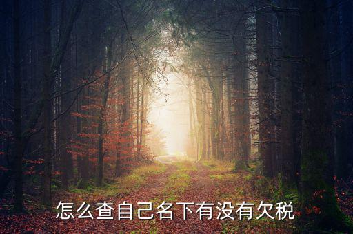 如何查欠稅記錄，怎么查個人有沒有欠稅