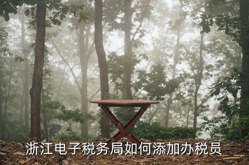如何在浙江網(wǎng)上稅務(wù)局添加辦稅員，浙江電子稅務(wù)局如何添加辦稅員