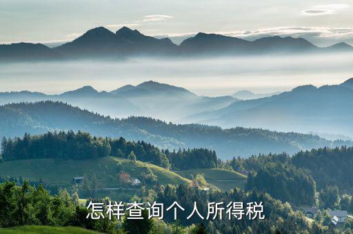 個(gè)人所得稅如何查詢 河南，怎么查詢個(gè)人所得稅