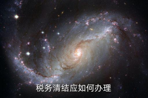 如何稅務機關辦理清稅，上海浦東稅務局清票清稅在哪里辦急