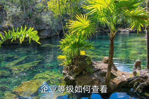 如何查納稅信用等級，企業(yè)納稅信用等級有何用處