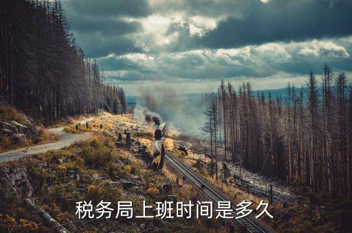 如何查詢辦稅務時間，想查詢自己的納稅記錄看是否滿五年請問去哪里可以