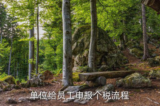江蘇職工個稅如何申報，申報個稅的流程怎么操作