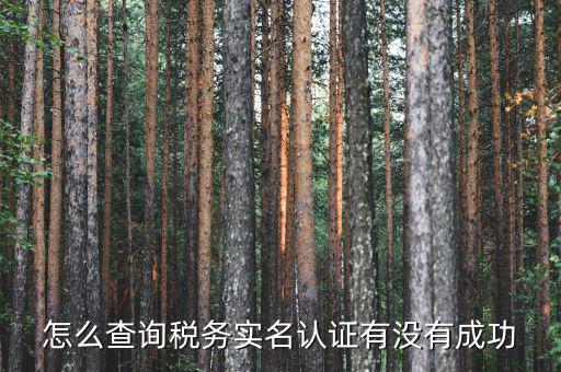 怎么查詢稅務(wù)實(shí)名認(rèn)證有沒(méi)有成功