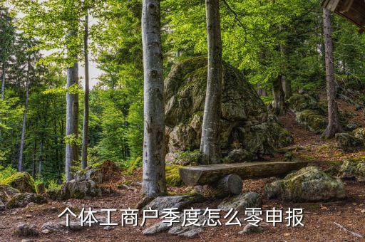 個(gè)體戶地稅如何零申報(bào)，個(gè)體工商戶地稅零申報(bào)怎樣報(bào)