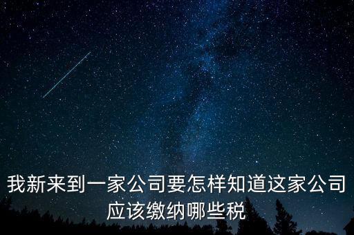 如何查稅種，我新來到一家公司要怎樣知道這家公司應(yīng)該繳納哪些稅