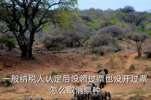 如何取消發(fā)票票種核定，一般納稅人認(rèn)定后沒領(lǐng)過票也沒開過票怎么取消票種