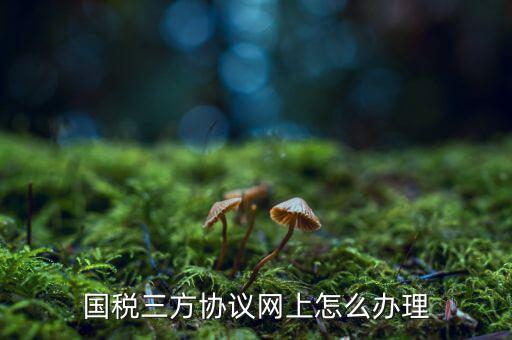 國稅三方協(xié)議網上怎么辦理