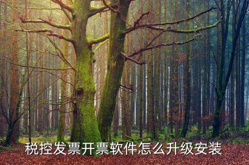 航天金稅開票軟件如何升級，怎樣升級開票系統(tǒng)升級