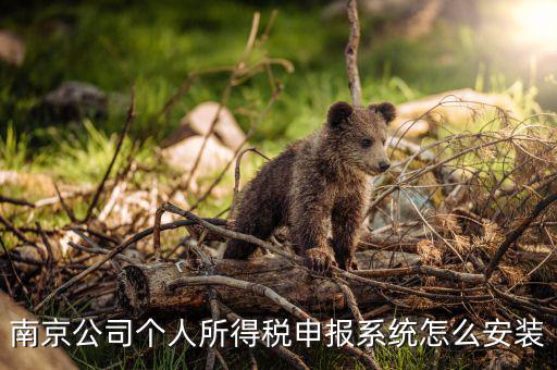 如何安裝金稅三期個稅安裝包，金稅三期在哪里下載