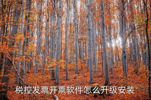 開票系統(tǒng)如何升級成品油軟件，稅率調(diào)整開票軟件如何升級