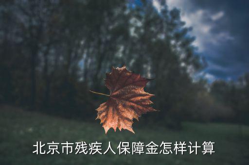 2016年北京殘疾人保障金如何計(jì)算，北京市殘疾人保障金怎樣計(jì)算
