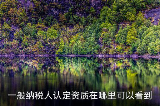 如何查看稅務(wù)資質(zhì)，一般納稅人認定資質(zhì)在哪里可以看到