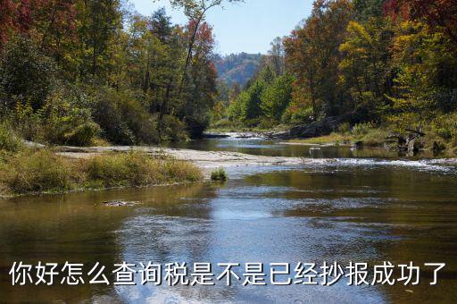 如何查看抄報(bào)成功，稅控發(fā)票開票軟件怎么看網(wǎng)上抄報(bào)成功沒有