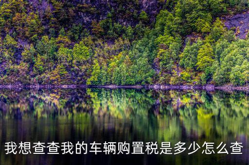 如何看購(gòu)置稅發(fā)票，我想查查我的車輛購(gòu)置稅是多少怎么查