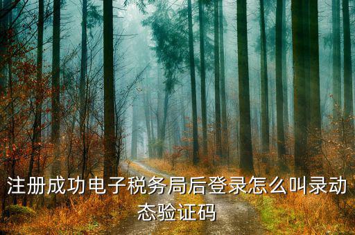 電子稅務(wù)局如何登錄，稅務(wù)總局電子申報(bào)軟件怎么使用