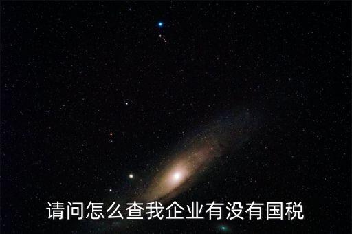 企業(yè)如何查詢國稅繳稅，怎樣查詢國稅繳稅信息