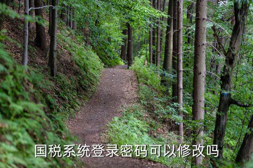 稅務系統(tǒng)如何修改密碼，金稅三期怎樣修改報稅密碼