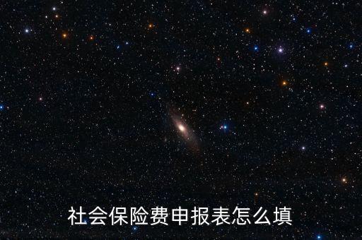 稅務(wù)系統(tǒng)社保費(fèi)申報(bào)表如何填報(bào)，社會保險(xiǎn)費(fèi)申報(bào)表怎么填