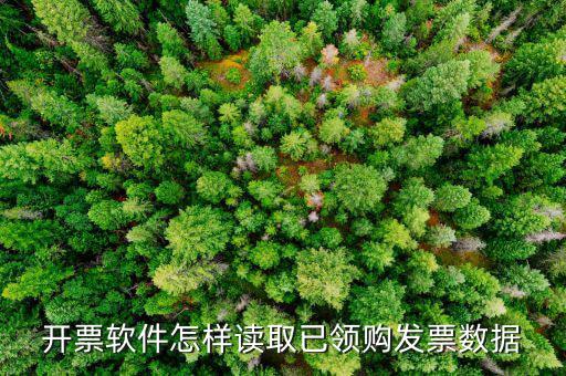 發(fā)票數(shù)據(jù)如何采集，開(kāi)票軟件怎樣讀取已領(lǐng)購(gòu)發(fā)票數(shù)據(jù)