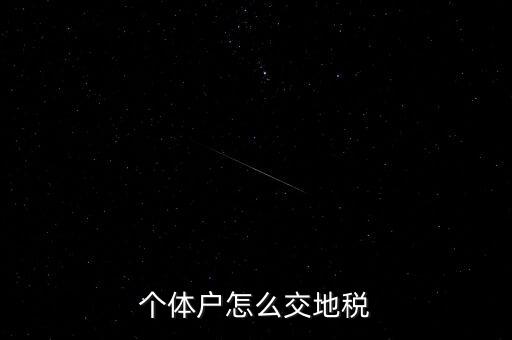 個體工商如何注冊地稅，剛拿到個體工商戶營業(yè)執(zhí)照如何辦理國地稅證