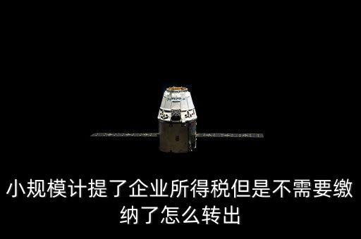 小規(guī)模計提了企業(yè)所得稅但是不需要繳納了怎么轉出