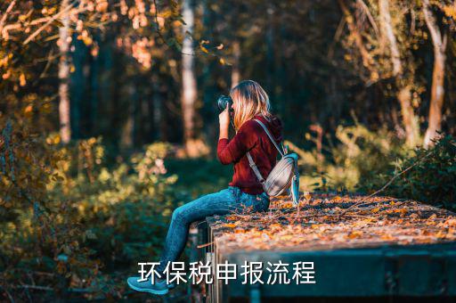 噪聲如何填寫(xiě)環(huán)保稅，環(huán)保稅如何申報(bào)