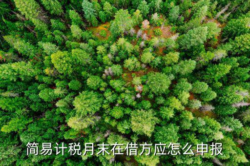 環(huán)保稅如何按簡易申報，環(huán)保稅怎么申報