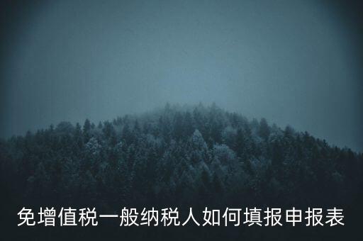 免稅如何填寫(xiě)申報(bào)表，免稅企業(yè)如何填報(bào)增值稅納稅申報(bào)表
