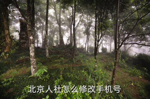 北京網(wǎng)上如何修改報(bào)稅電話(huà)，如何在北京國(guó)稅網(wǎng)站修改報(bào)稅電話(huà)