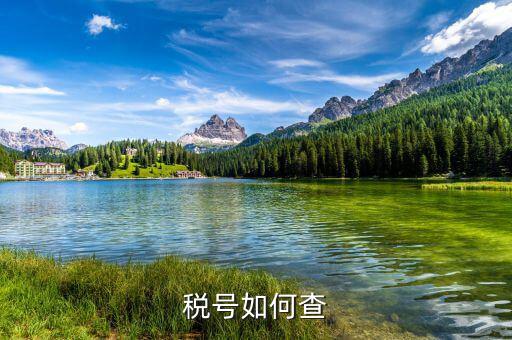 國際企業(yè)稅號如何查詢，老外要公司稅號他怎么查呢