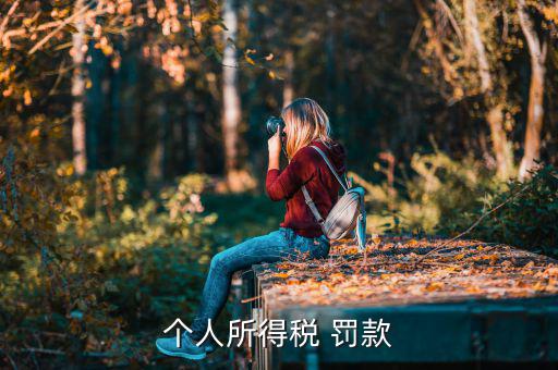 個(gè)稅罰款如何繳，個(gè)人所得稅 罰款