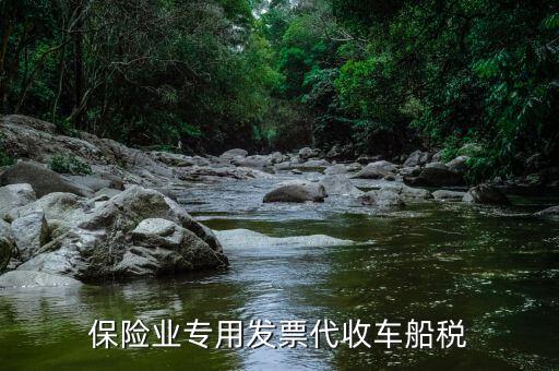 保險(xiǎn)代收車(chē)船稅如何報(bào)稅，車(chē)船稅保險(xiǎn)公司代扣代繳后納稅申報(bào)表怎么做