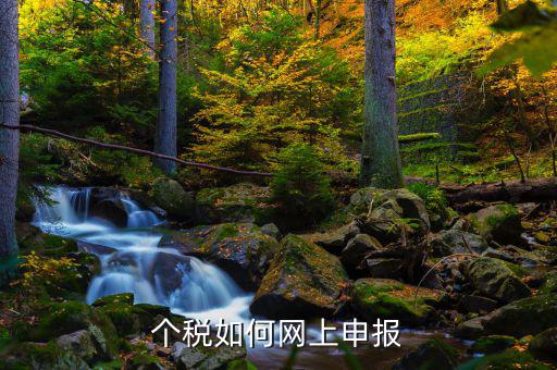 個稅如何在網(wǎng)上稅務(wù)局申報，個人所得稅網(wǎng)上申報步驟