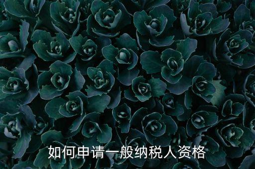 一般納稅人如何申請B級，一般納稅人B類企業(yè)如何申報企業(yè)所得稅