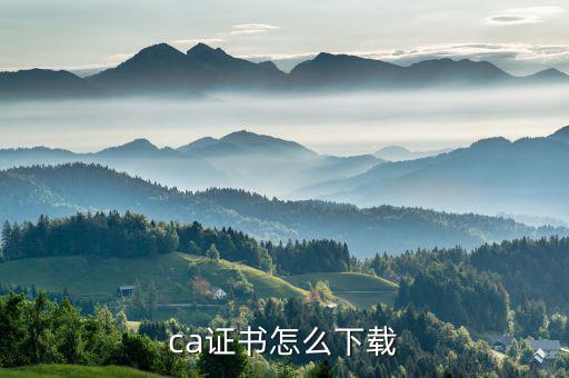 國稅ca證書如何下載，網(wǎng)上南京國稅CA證書怎么下載