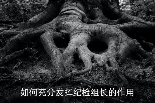 稅務(wù)局如何貫徹落實紀檢組長的講話，如何充分發(fā)揮紀檢組長的作用