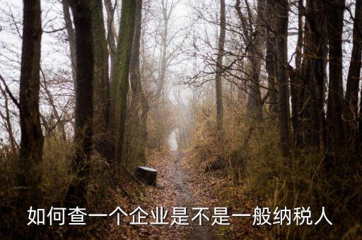 如何查是否一般納稅人，怎么確認(rèn)一家單位是不是一般納稅人