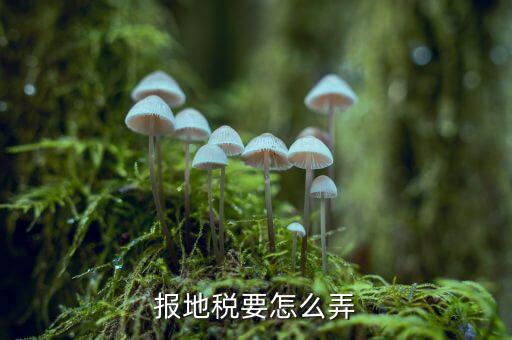北京地稅存貨損失如何申報(bào)，北京的國(guó)稅和地稅的年報(bào)怎么做具體在網(wǎng)上什么位置以及流程有木