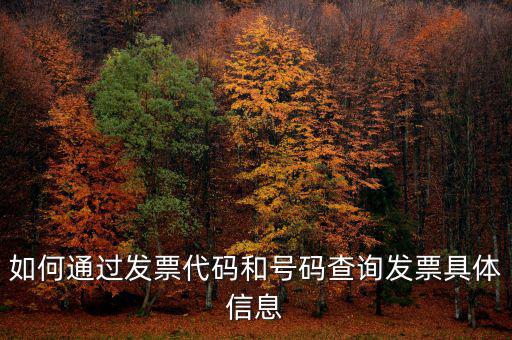 如何查詢發(fā)票詳細(xì)信息查詢，如何通過發(fā)票代碼和號(hào)碼查詢發(fā)票具體信息